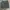 Uniform Bridge Military Cargo Shorts photo 4