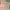 BRAND NEW colorrose pallete  photo 4