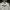 POLO RALPH LAUREN WORK JACKET BY BARCODE AUTENTIC ORIGINAL  photo 3