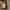 Vest cabela’s microwire photo 9