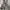 Carhartt Vintage Luxury Dungaree Kids brown photo 3