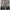 Carhartt Vintage Luxury Dungaree Kids brown photo 7