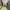 Luxury Muslim Maxi dress Wanita white photo 5