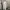 Luxury Muslim Maxi dress Wanita white photo 4
