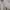 Rodeo Crowns Streetwear Sweater Wanita gray photo 3