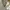 HZ Utility Jacket Double Zipper Drawstring Minimalist Korean photo 6