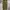 Gorpcore Sportswear Tracksuit Pria brown photo 3