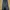 Rok Jeans 