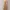 Viscose Maxi Dress (Sportgirl)