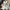ADIDAS X9000L1 photo 5