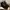 Christian Louboutin Full Black  photo 2
