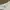 Kaos Delta Pro Weight Sail Away Art photo 3