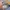 Bellroy Luxury Casual Bag Pria multicolor photo 6