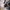 Bellroy Luxury Casual Bag Pria multicolor photo 7