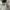 Nike Streetwear Sportswear Sweater Pria white photo 2