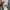 VANS AUTEHNTIC 44DX X SANDY LIANG CHECKBOARD FLORAL photo 8
