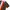 ZARA Casual Casual shirt Pria multicolor photo 2