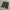  panhard camo baggy pants  photo 4
