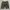  panhard camo baggy pants  photo 2