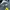 Adidas Big Logo photo 4