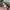 Y2K Casual Hat Pria green photo 5