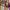 Coach Casual Crossbody Bag Wanita multicolor photo 8