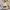 Coach Casual Crossbody Bag Wanita multicolor photo 7
