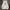 Hoodie Guess