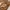 Michael Kors Luxury Shoulder bag Wanita brown photo 1