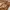 Michael Kors Luxury Shoulder Bag Wanita Brown