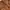 Michael Kors Luxury Shoulder bag Wanita brown photo 7