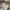 Michael Kors Luxury Shoulder bag Wanita brown photo 4