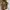 Gucci Luxury Handbag Wanita multicolor photo 1