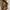 Gucci Luxury Handbag Wanita Multicolor