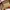 Gucci Luxury Handbag Wanita multicolor photo 8