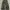 Baggy Camo photo 2