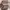 MCM Luxury Casual Crossbody Bag Wanita pink photo 1