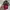 Marc Jacobs Luxury Casual Wanita multicolor red photo 2