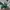 LEGO Ninjago 71829 Lloyd's Green Forest Dragon photo 2