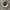 Converse CT 2 Hi Thunder Grey Original Guaranted 100% photo 2