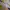 Frank Stone Casual Windbreaker Pria white gray photo 5