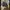 LC energy biru tua dark sea blue canvas size Medium photo 3