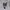 SKATEBOARD T-SHIRT 