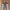 Vivienne Westwood Luxury Avant Garde Belt Pria gray cream photo 5