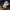 JAKET STONE ISLAND  photo 5