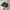 Ed Hardy Streetwear Y2K Hat Pria black photo 3