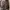 Appare Nippon Namiasobi photo 8