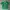 Jersey Ireland Atau Irlandia