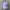 Reply Cap – Lavender 