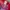  Vintage Red Cap photo 6